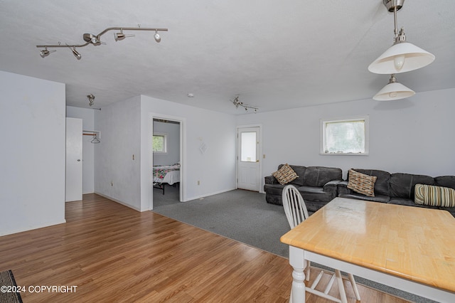 living room with hardwood / wood-style floors