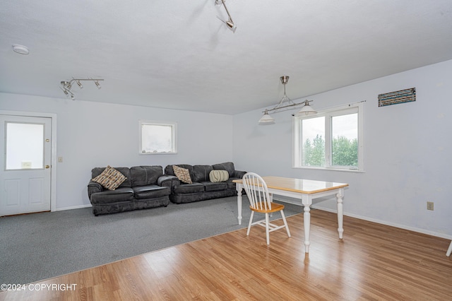 dining space with hardwood / wood-style floors and rail lighting