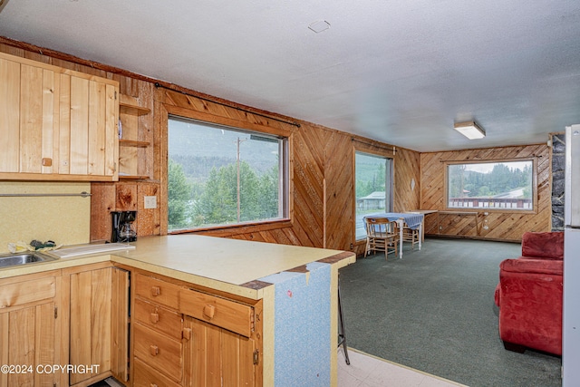 kitchen featuring wooden walls, kitchen peninsula, light carpet, and a textured ceiling