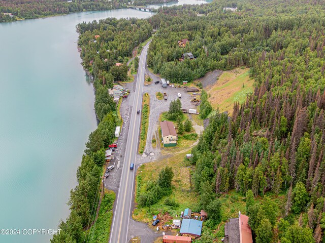 bird's eye view with a water view