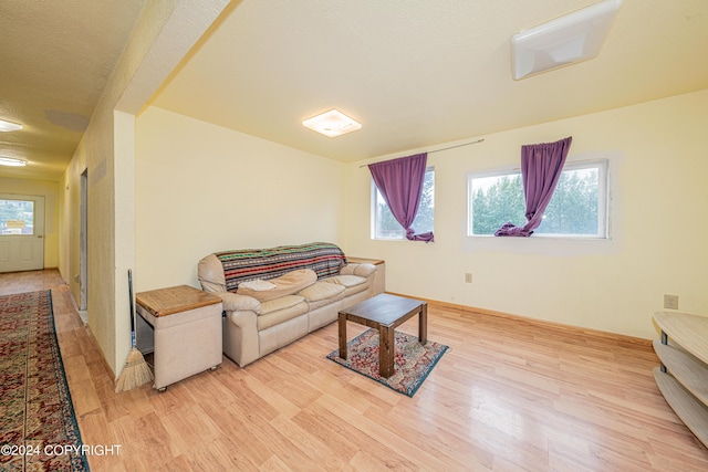 living room with light wood-type flooring