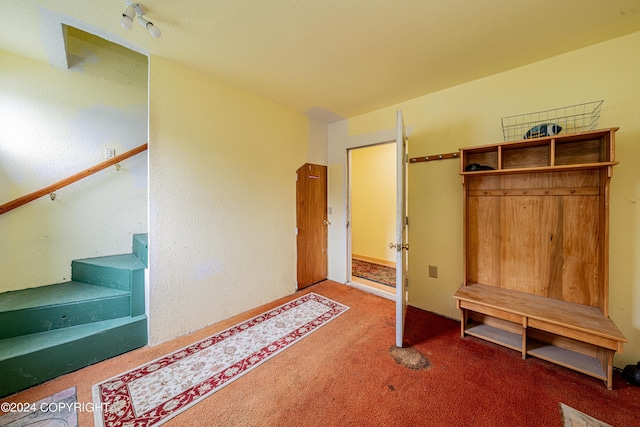 mudroom with carpet