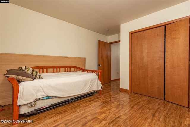 bedroom with a closet and wood-type flooring