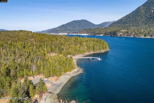 drone / aerial view featuring a water and mountain view