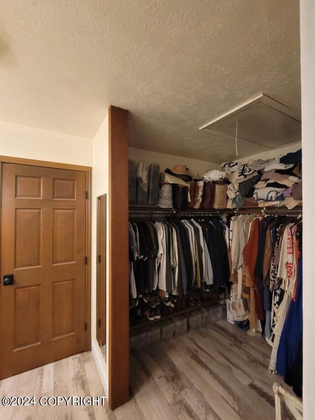 walk in closet featuring hardwood / wood-style flooring