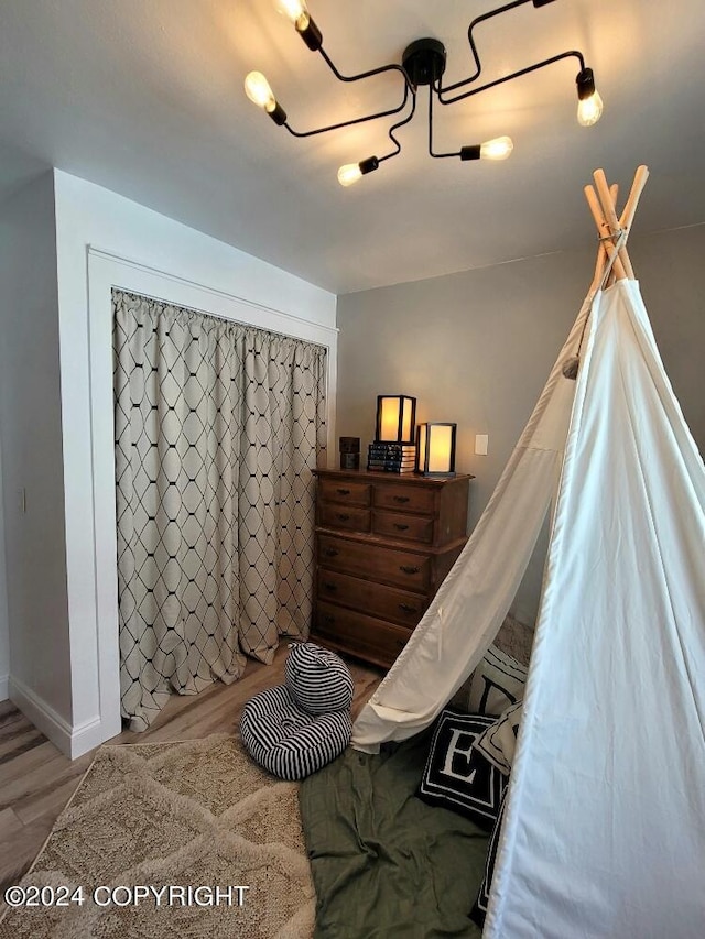 bedroom featuring wood-type flooring