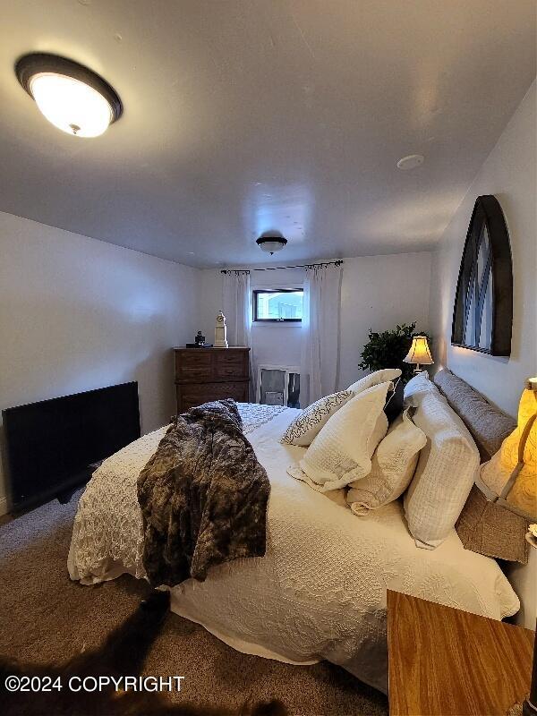 bedroom featuring carpet floors