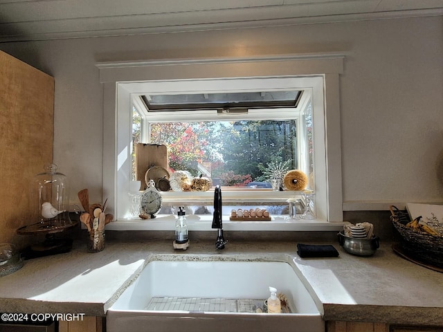 interior details featuring crown molding and sink