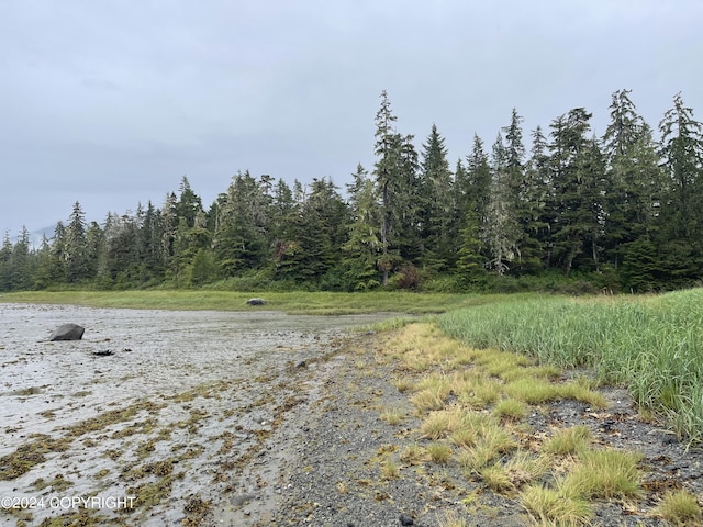 LOTGL19 Mitkof Hwy, Petersburg, AK 99833