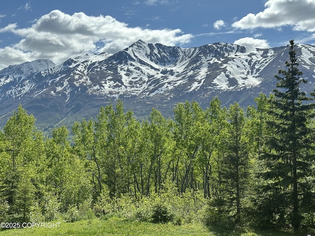 4477 Panther Dr, Eagle River, AK 99577 - view of mountain backdrop