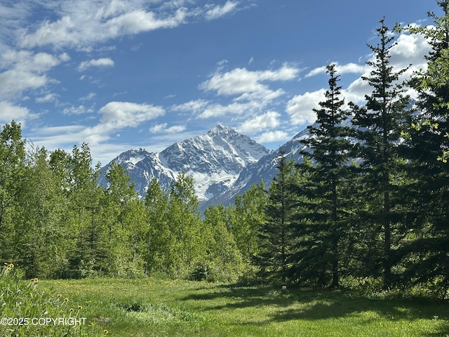4477 Panther Dr, Eagle River, AK 99577 - mountain view featuring a forest