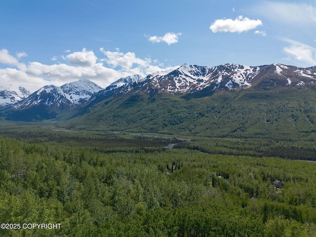 4477 Panther Dr, Eagle River, AK 99577 - view of mountain backdrop featuring a heavily wooded area