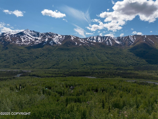 4477 Panther Dr, Eagle River, AK 99577 - mountain view with a forest