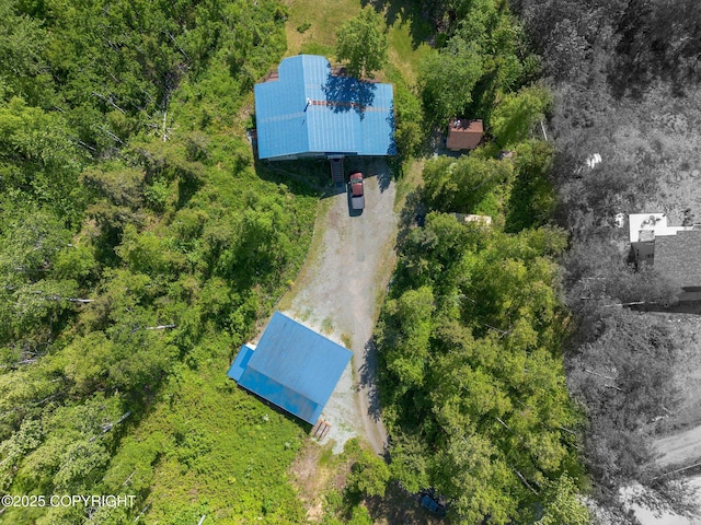 4477 Panther Dr, Eagle River, AK 99577 - aerial view