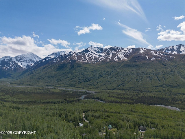 4477 Panther Dr, Eagle River, AK 99577 - view of mountain background featuring a heavily wooded area