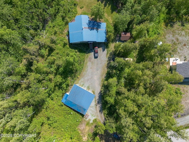 4477 Panther Dr, Eagle River, AK 99577 - aerial view