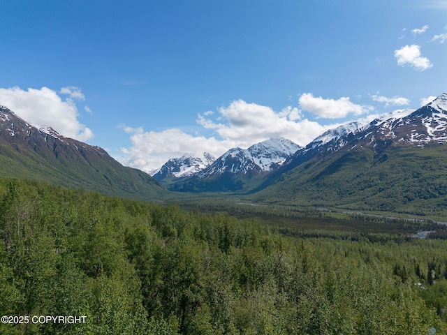4477 Panther Dr, Eagle River, AK 99577 - mountain view featuring a heavily wooded area