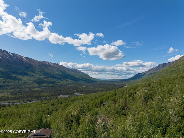 4477 Panther Dr, Eagle River, AK 99577 - view of mountain backdrop featuring a forest