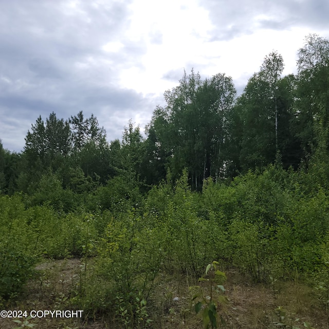 27048 W Parks Hwy, Willow AK, 99688 land for sale