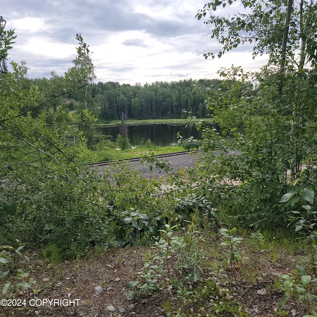 view of local wilderness with a water view