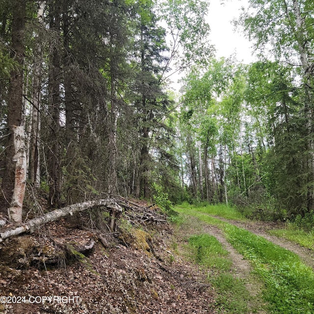 view of local wilderness