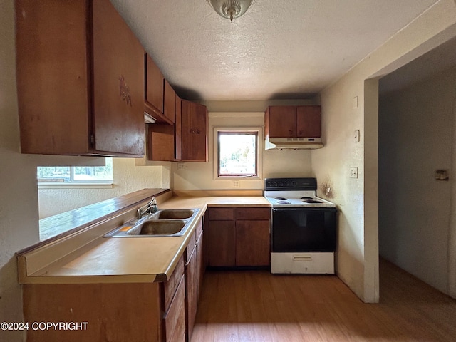 kitchen featuring hardwood / wood-style flooring, white range with electric stovetop, sink, and a textured ceiling