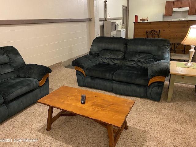 living room with concrete block wall