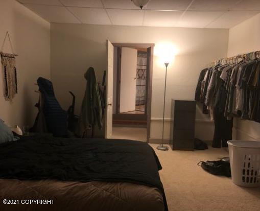 bedroom featuring carpet flooring and a paneled ceiling