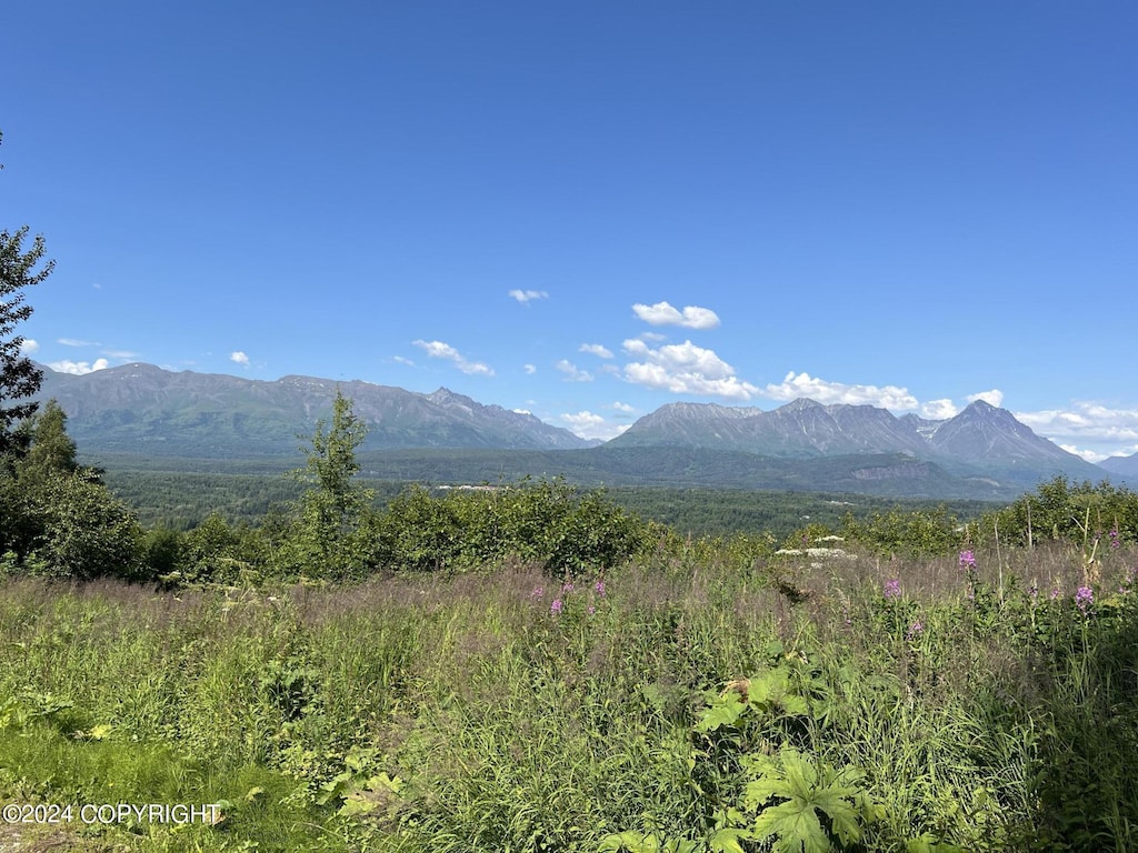 L15 N Mckenzie Dr, Palmer, AK 99645