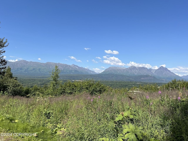 L15 N Mckenzie Dr, Palmer, AK 99645