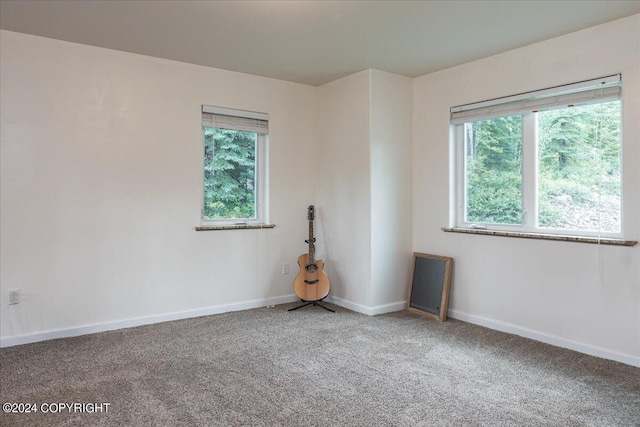 unfurnished room with carpet floors