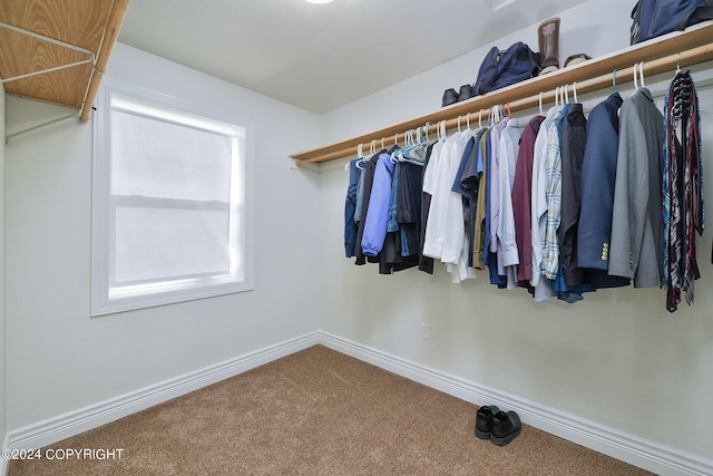 walk in closet with carpet