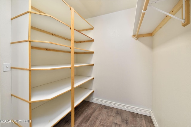 spacious closet with dark wood-type flooring