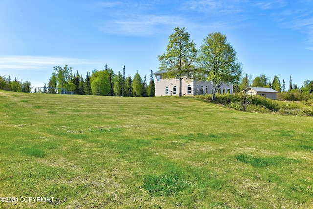 view of yard