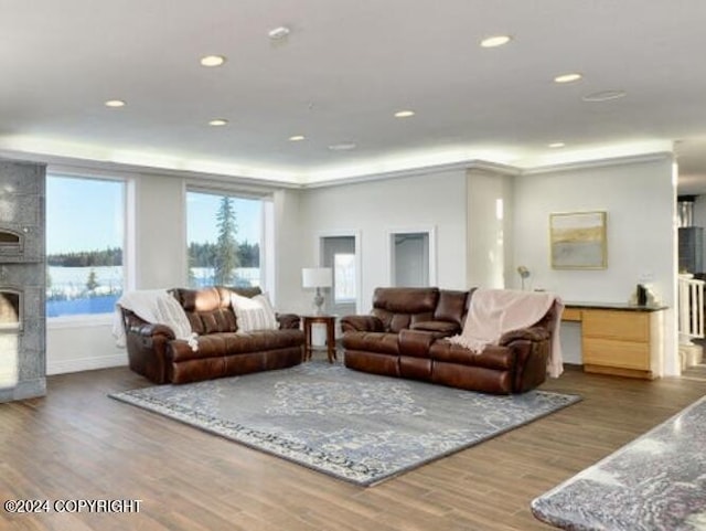 living room featuring hardwood / wood-style flooring and a large fireplace