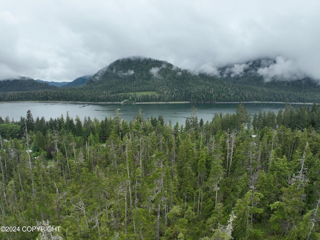 Listing photo 2 for 825 Mitkof Hwy, Petersburg AK 99833