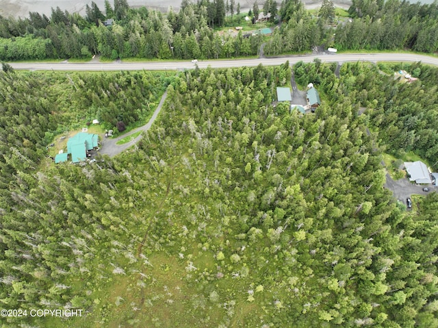 Listing photo 3 for 825 Mitkof Hwy, Petersburg AK 99833