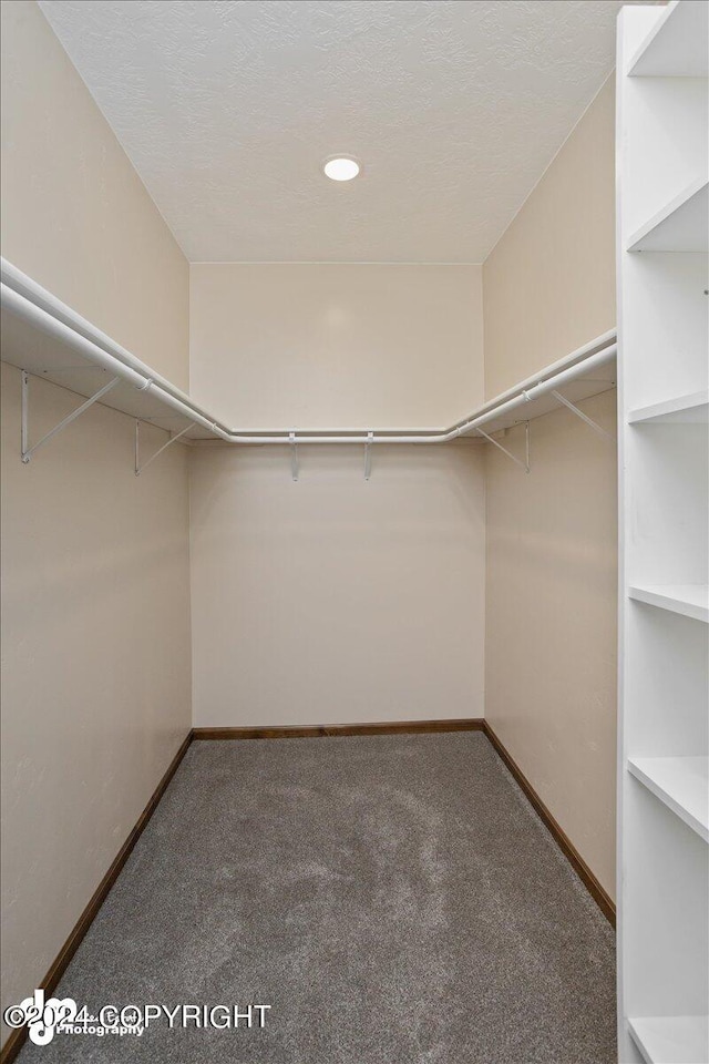 spacious closet with carpet