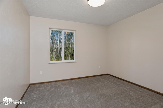 unfurnished room featuring a textured ceiling and carpet floors