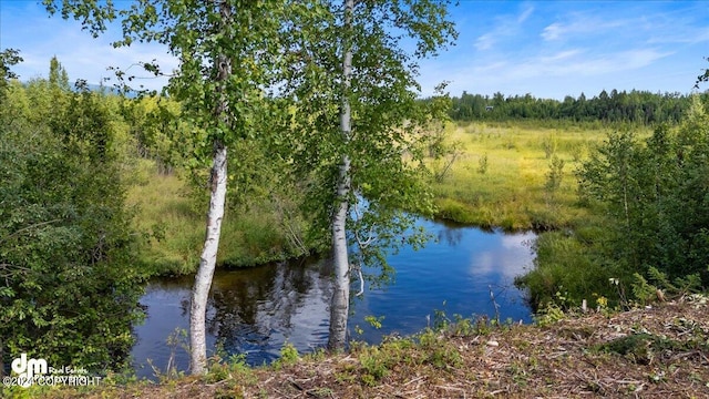 water view