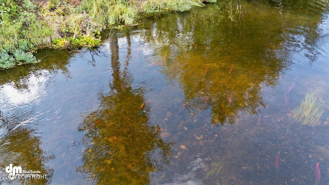 view of water feature