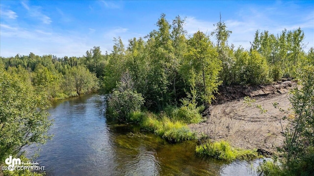 property view of water