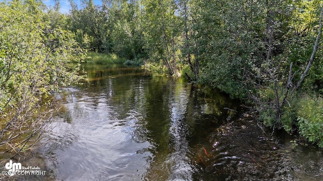 view of water feature