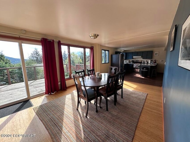 dining room featuring light hardwood / wood-style flooring