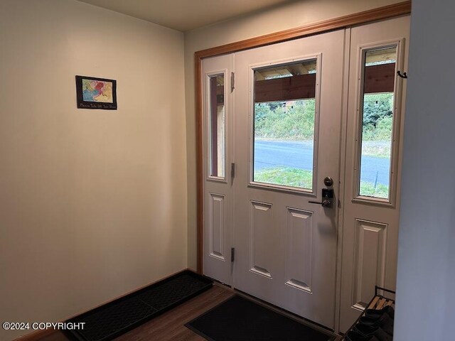 doorway to outside with dark hardwood / wood-style flooring