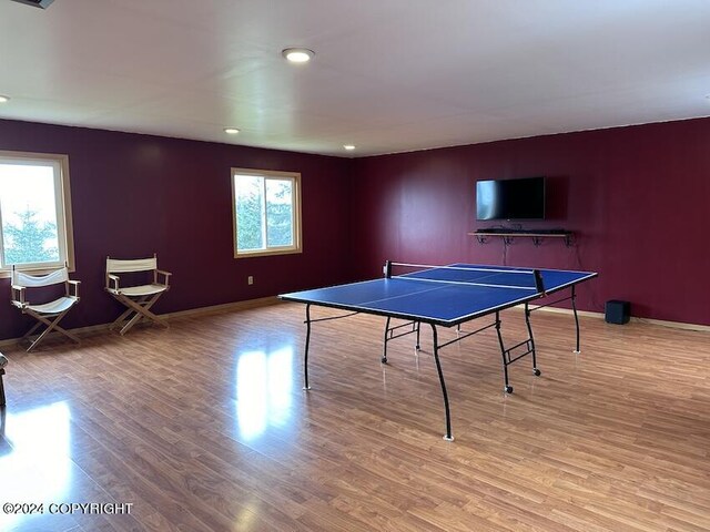 playroom featuring light wood-type flooring and plenty of natural light