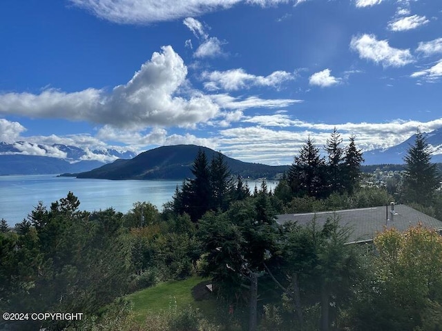 property view of mountains with a water view