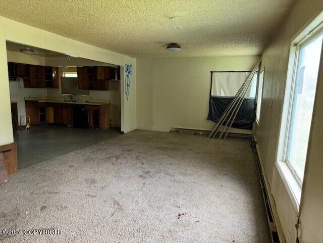 interior space featuring a textured ceiling and plenty of natural light