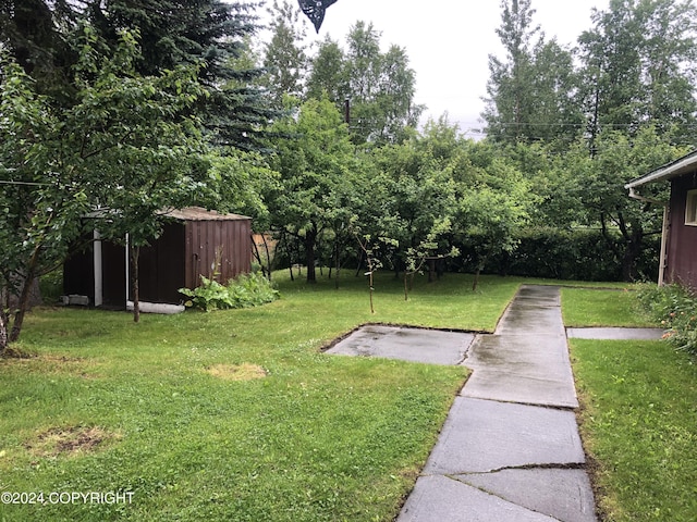 view of yard featuring a storage unit