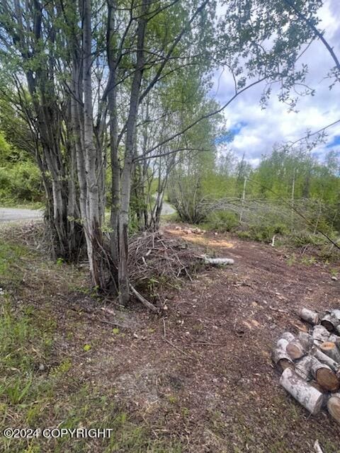 L7 Erika Dr, Big Lake AK, 99654 land for sale